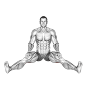 ภาพเคลื่อนไหวสาธิตท่า Seated Wide Angle Pose Sequence เน้นกล้ามเนื้อต้นขาด้านหลัง (แฮมสตริง)