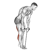 ภาพเคลื่อนไหวสาธิตท่า Standing Hamstring And Calf Stretch With Strap เน้นกล้ามเนื้อต้นขาด้านหลัง (แฮมสตริง)