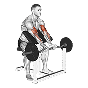 ภาพเคลื่อนไหวสาธิตท่า Ez Barbell Close Grip Preacher Curl เน้นกล้ามเนื้อกล้ามเนื้อหน้าแขน (ไบเซปส์)