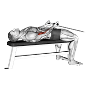 ภาพเคลื่อนไหวสาธิตท่า Cable Lying Bicep Curl เน้นกล้ามเนื้อกล้ามเนื้อหน้าแขน (ไบเซปส์)
