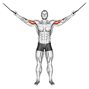 ภาพเคลื่อนไหวสาธิตท่า Cable Overhead Curl เน้นกล้ามเนื้อกล้ามเนื้อหน้าแขน (ไบเซปส์)