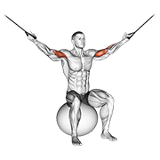 ภาพเคลื่อนไหวสาธิตท่า Cable Overhead Curl On Exercise Ball เน้นกล้ามเนื้อกล้ามเนื้อหน้าแขน (ไบเซปส์)