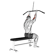 ภาพเคลื่อนไหวสาธิตท่า Cable Pulldown Bicep Curl เน้นกล้ามเนื้อกล้ามเนื้อหน้าแขน (ไบเซปส์)