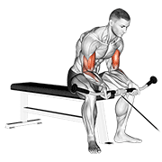 ภาพเคลื่อนไหวสาธิตท่า Cable Seated Curl เน้นกล้ามเนื้อกล้ามเนื้อหน้าแขน (ไบเซปส์)