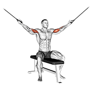 ภาพเคลื่อนไหวสาธิตท่า Cable Seated Overhead Curl เน้นกล้ามเนื้อกล้ามเนื้อหน้าแขน (ไบเซปส์)