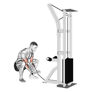 ภาพเคลื่อนไหวสาธิตท่า Cable Squatting Curl เน้นกล้ามเนื้อกล้ามเนื้อหน้าแขน (ไบเซปส์)