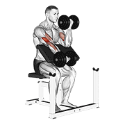 ภาพเคลื่อนไหวสาธิตท่า Dumbbell Alternate Preacher Curl เน้นกล้ามเนื้อกล้ามเนื้อหน้าแขน (ไบเซปส์)
