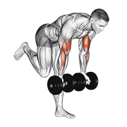 ภาพเคลื่อนไหวสาธิตท่า Dumbbell Bicep Curl With Stork Stance เน้นกล้ามเนื้อกล้ามเนื้อหน้าแขน (ไบเซปส์)