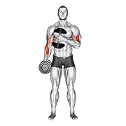 ภาพเคลื่อนไหวสาธิตท่า Dumbbell Cross Body Hammer Curl V. 2 เน้นกล้ามเนื้อกล้ามเนื้อหน้าแขน (ไบเซปส์)