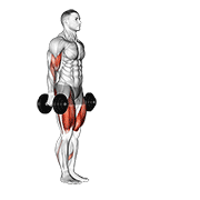 ภาพเคลื่อนไหวสาธิตท่า Dumbbell Lunge With Bicep Curl เน้นกล้ามเนื้อกล้ามเนื้อหน้าแขน (ไบเซปส์)