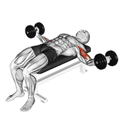 ภาพเคลื่อนไหวสาธิตท่า Dumbbell Lying Wide Curl เน้นกล้ามเนื้อกล้ามเนื้อหน้าแขน (ไบเซปส์)