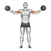ภาพเคลื่อนไหวสาธิตท่า Dumbbell High Curl เน้นกล้ามเนื้อกล้ามเนื้อหน้าแขน (ไบเซปส์)