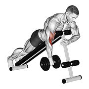 ภาพเคลื่อนไหวสาธิตท่า Dumbbell One Arm Reverse Spider Curl เน้นกล้ามเนื้อกล้ามเนื้อหน้าแขน (ไบเซปส์)