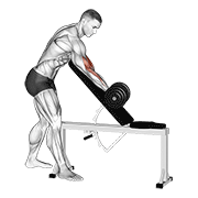 ภาพเคลื่อนไหวสาธิตท่า Dumbbell One Arm Zottman Preacher Curl เน้นกล้ามเนื้อกล้ามเนื้อหน้าแขน (ไบเซปส์)