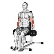 ภาพเคลื่อนไหวสาธิตท่า Dumbbell Seated Hammer Curl เน้นกล้ามเนื้อกล้ามเนื้อหน้าแขน (ไบเซปส์)