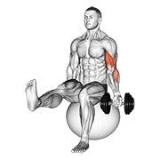 ภาพเคลื่อนไหวสาธิตท่า Dumbbell Seated One Arm Bicep Curl On Exercise Ball With Leg Raised เน้นกล้ามเนื้อกล้ามเนื้อหน้าแขน (ไบเซปส์)