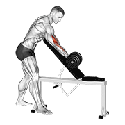 ภาพเคลื่อนไหวสาธิตท่า Dumbbell Standing One Arm Curl Over Incline Bench เน้นกล้ามเนื้อกล้ามเนื้อหน้าแขน (ไบเซปส์)