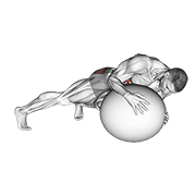 ภาพเคลื่อนไหวสาธิตท่า Prone Twist On Stability Ball เน้นกล้ามเนื้อหน้าท้อง