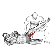 ภาพเคลื่อนไหวสาธิตท่า Assisted Side Lying Adductor Stretch เน้นกล้ามเนื้อกล้ามเนื้อต้นขาด้านใน