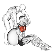 ภาพเคลื่อนไหวสาธิตท่า Assisted Seated Pectoralis Major Stretch With Stability Ball เน้นกล้ามเนื้อกล้ามเนื้อหน้าอก