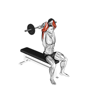 ภาพเคลื่อนไหวสาธิตท่า Barbell Seated Close Grip Behind Neck Triceps Extension เน้นกล้ามเนื้อกล้ามเนื้อหลังแขน (ไทรเซปส์)