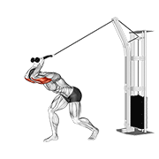 ภาพเคลื่อนไหวสาธิตท่า Cable High Pulley Overhead Tricep Extension เน้นกล้ามเนื้อกล้ามเนื้อหลังแขน (ไทรเซปส์)