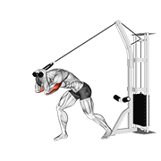 ภาพเคลื่อนไหวสาธิตท่า Cable Rope High Pulley Overhead Tricep Extension เน้นกล้ามเนื้อกล้ามเนื้อหลังแขน (ไทรเซปส์)