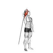 ภาพเคลื่อนไหวสาธิตท่า Cable Standing Reverse Grip One Arm Overhead Tricep Extension เน้นกล้ามเนื้อกล้ามเนื้อหลังแขน (ไทรเซปส์)