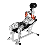 ภาพเคลื่อนไหวสาธิตท่า Dumbbell Lying Alternate Extension เน้นกล้ามเนื้อกล้ามเนื้อหลังแขน (ไทรเซปส์)