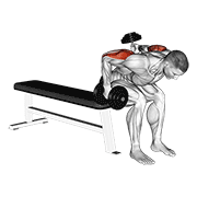 ภาพเคลื่อนไหวสาธิตท่า Dumbbell Seated Bent Over Alternate Kickback เน้นกล้ามเนื้อกล้ามเนื้อหลังแขน (ไทรเซปส์)