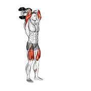 ภาพเคลื่อนไหวสาธิตท่า Dumbbell Forward Lunge Triceps Extension เน้นกล้ามเนื้อกล้ามเนื้อหลังแขน (ไทรเซปส์)