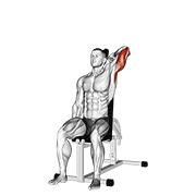 ภาพเคลื่อนไหวสาธิตท่า Dumbbell Seated Reverse Grip One Arm Overhead Tricep Extension เน้นกล้ามเนื้อกล้ามเนื้อหลังแขน (ไทรเซปส์)