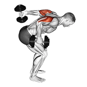 ภาพเคลื่อนไหวสาธิตท่า Dumbbell Standing Alternating Tricep Kickback เน้นกล้ามเนื้อกล้ามเนื้อหลังแขน (ไทรเซปส์)