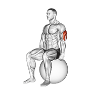 ภาพเคลื่อนไหวสาธิตท่า Exercise Ball Seated Triceps Stretch เน้นกล้ามเนื้อกล้ามเนื้อหลังแขน (ไทรเซปส์)