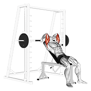 ภาพเคลื่อนไหวสาธิตท่า Smith Machine Incline Tricep Extension เน้นกล้ามเนื้อกล้ามเนื้อหลังแขน (ไทรเซปส์)