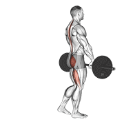 ภาพเคลื่อนไหวสาธิตท่า Barbell Single Leg Deadlift เน้นกล้ามเนื้อกล้ามเนื้อก้น