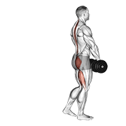 ภาพเคลื่อนไหวสาธิตท่า Dumbbell Single Leg Deadlift เน้นกล้ามเนื้อกล้ามเนื้อก้น