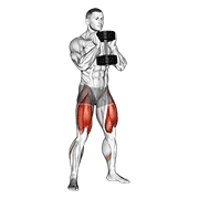 ภาพเคลื่อนไหวสาธิตท่า Dumbbell Goblet Squat เน้นกล้ามเนื้อต้นขาด้านหน้า (ควอดส์)