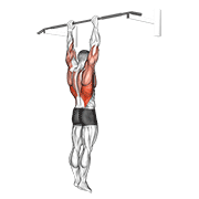 ภาพเคลื่อนไหวสาธิตท่า Shoulder Grip Pull-up เน้นกล้ามเนื้อปีกหลัง (แลตส์)