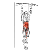 ภาพเคลื่อนไหวสาธิตท่า Hanging Leg Hip Raise เน้นกล้ามเนื้อหน้าท้อง