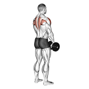 ภาพเคลื่อนไหวสาธิตท่า Dumbbell Upright Row (back Pov) เน้นกล้ามเนื้อไหล่ (เดลทอยด์)