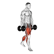 ภาพเคลื่อนไหวสาธิตท่า Farmers Walk เน้นกล้ามเนื้อต้นขาด้านหน้า (ควอดส์)