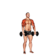 ภาพเคลื่อนไหวสาธิตท่า Dumbbell Cuban Press V. 2 เน้นกล้ามเนื้อไหล่ (เดลทอยด์)