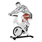 ภาพเคลื่อนไหวสาธิตท่า Stationary Bike Run V. 3 เน้นกล้ามเนื้อระบบหัวใจและหลอดเลือด