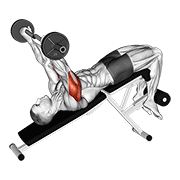 ภาพเคลื่อนไหวสาธิตท่า Ez Barbell Decline Triceps Extension เน้นกล้ามเนื้อกล้ามเนื้อหลังแขน (ไทรเซปส์)