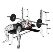 ภาพเคลื่อนไหวสาธิตท่า Barbell Reverse Close-grip Bench Press เน้นกล้ามเนื้อกล้ามเนื้อหลังแขน (ไทรเซปส์)