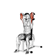 ภาพเคลื่อนไหวสาธิตท่า Dumbbells Seated Triceps Extension เน้นกล้ามเนื้อกล้ามเนื้อหลังแขน (ไทรเซปส์)