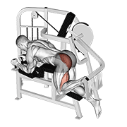 ภาพเคลื่อนไหวสาธิตท่า Lever Hip Extension V. 2 เน้นกล้ามเนื้อกล้ามเนื้อก้น