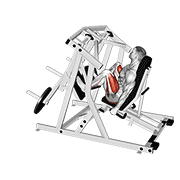 ภาพเคลื่อนไหวสาธิตท่า Lever Alternate Leg Press เน้นกล้ามเนื้อต้นขาด้านหน้า (ควอดส์)