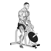 ภาพเคลื่อนไหวสาธิตท่า Lever Gripper Hands เน้นกล้ามเนื้อแขนท่อนล่าง